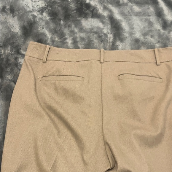 Ann Taylor Factory Women's Tan Trousers - Picture 5 of 7